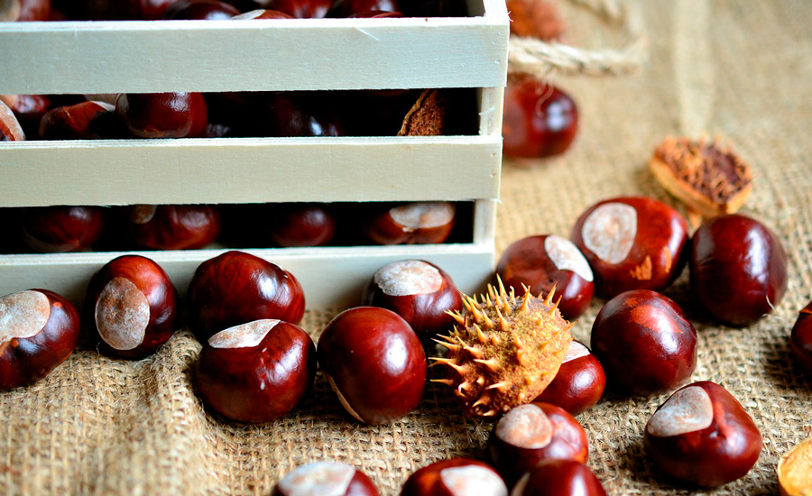 WikiBrandt: 5 trucos de cocina